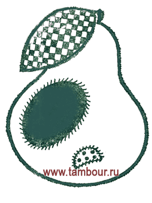     - www.tambour.ru